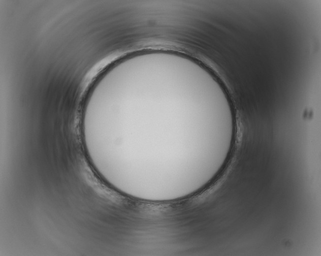 X0000110731074200906121305