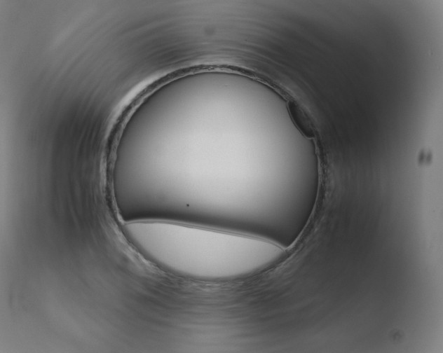 X0000110731076200906121305