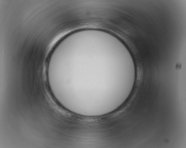 X0000110731078200906121305
