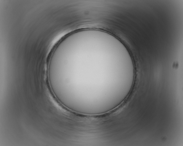 X0000110731079200906121305