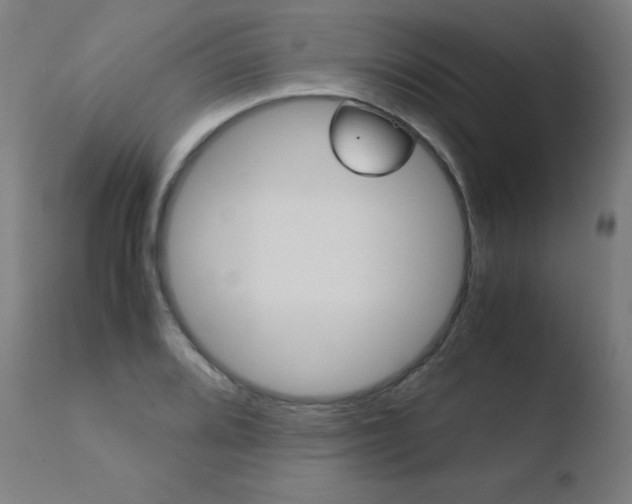 X0000110731080200906121305