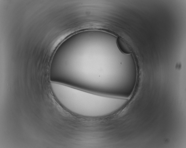 X0000110731081200906121305