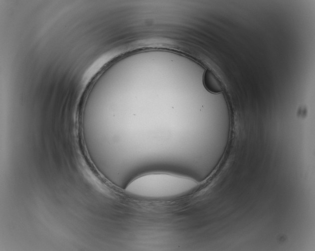X0000110731082200906121305