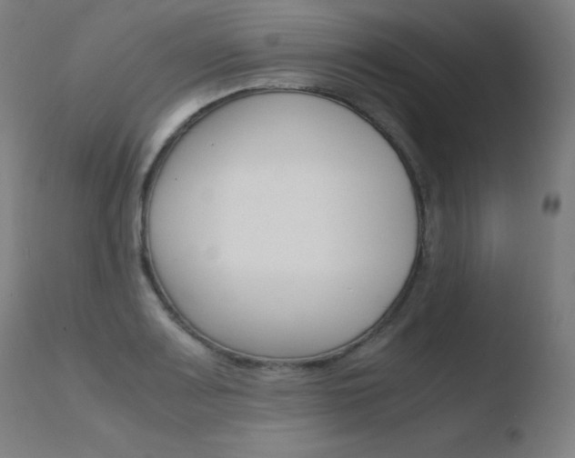 X0000110731083200906121305