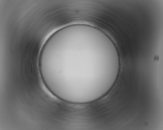 X0000110731084200906121305