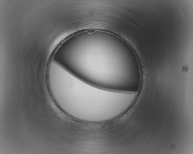 X0000110731085200906121305