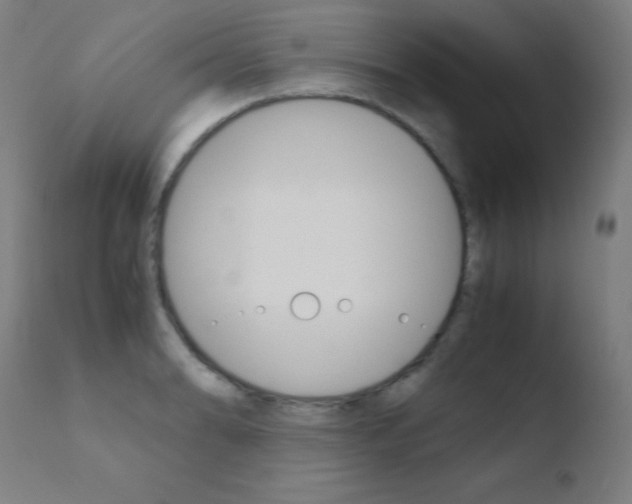 X0000110731086200906121305