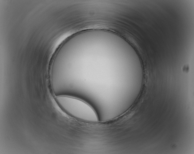 X0000110731087200906121305