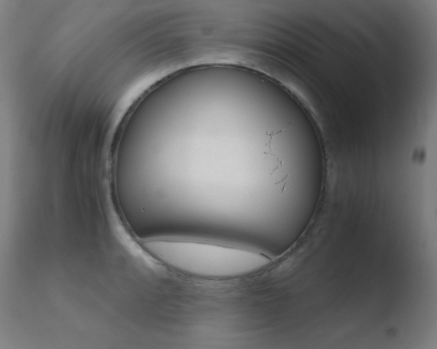 X0000110731088200906121305