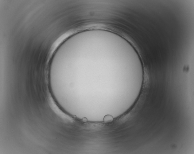 X0000110731090200906121305