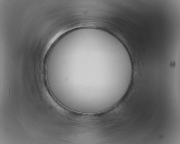 X0000110731091200906121305
