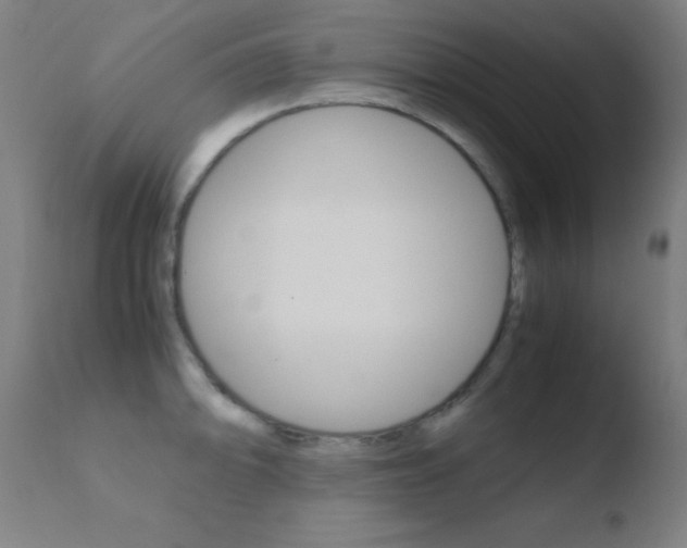 X0000110731094200906121305