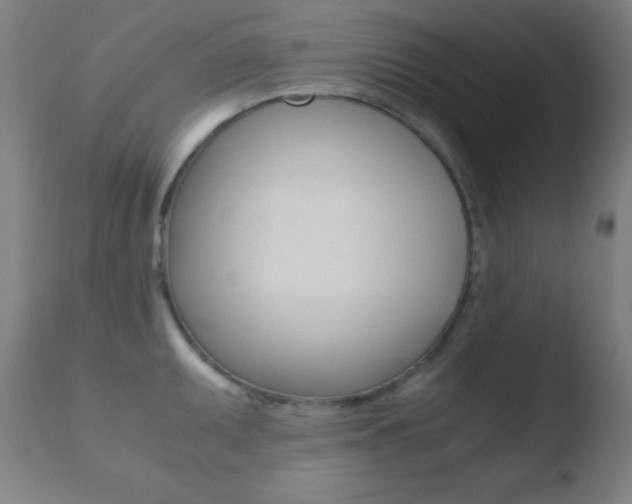 X0000110731095200906121305