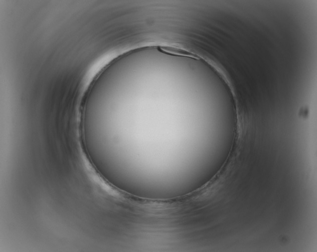 X0000110731096200906121305