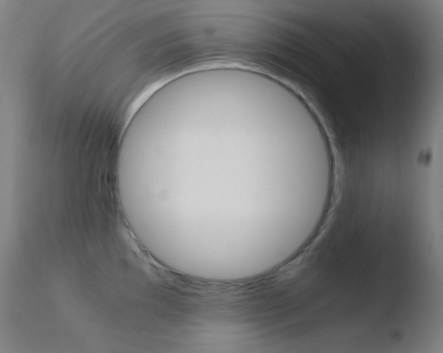 X0000110731097200906121305