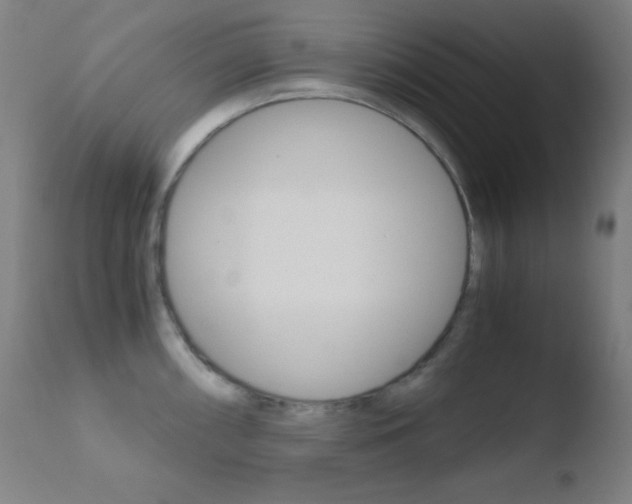 X0000110731098200906121305