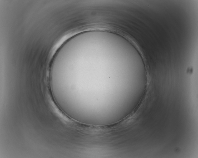 X0000110731099200906121305