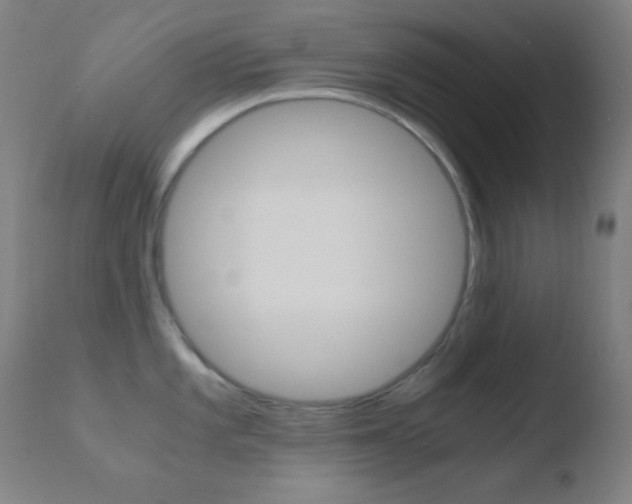 X0000110731101200906121305