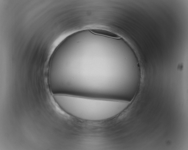 X0000110731102200906121305