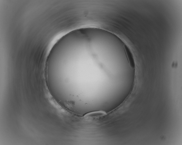 X0000110731104200906121305