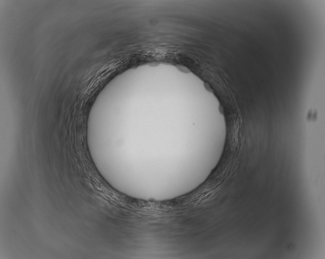 X0000110731105200906121304