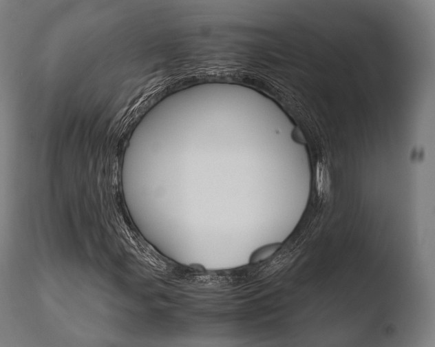 X0000110731107200906121304