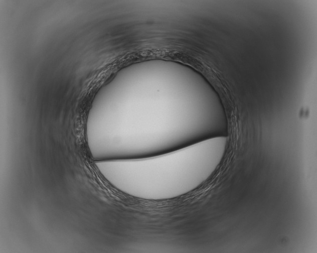 X0000110731109200906121304