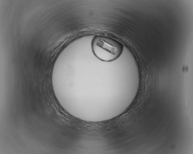 X0000110731110200906121304