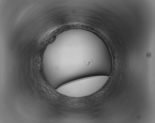 X0000110731111200906121304