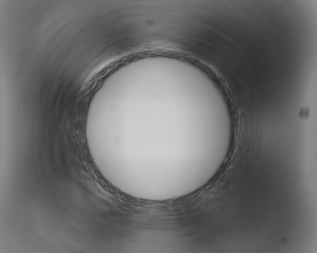 X0000110731112200906121304