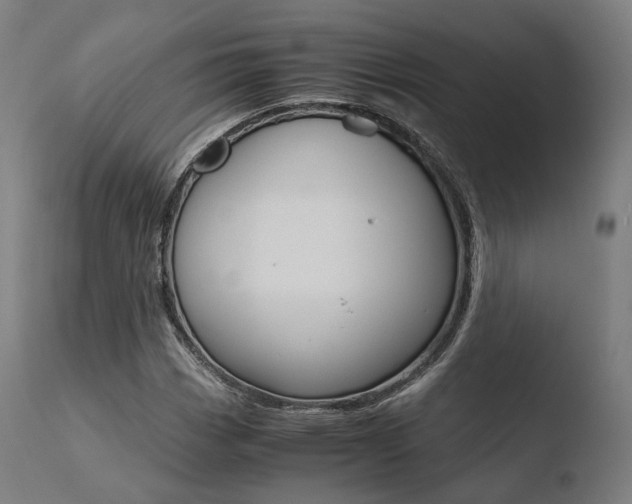 X0000110731113200906121304