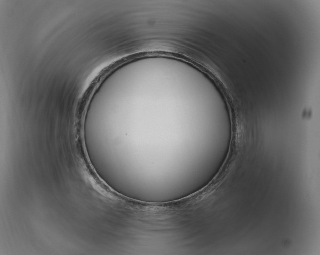 X0000110731116200906121304