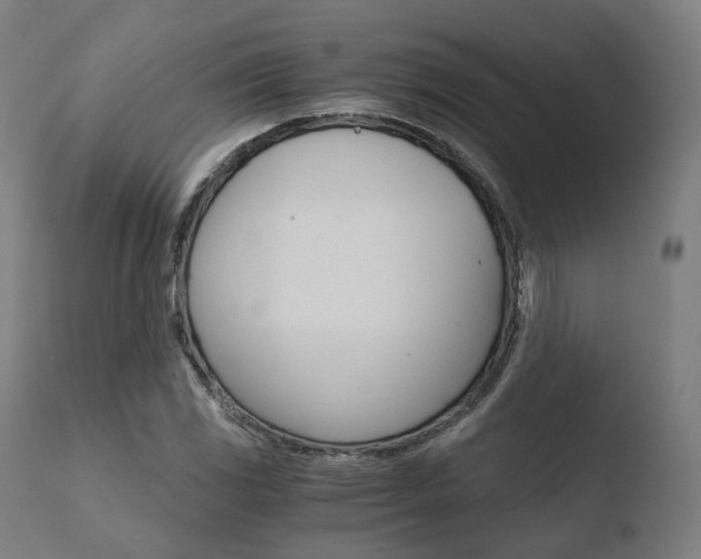 X0000110731117200906121304