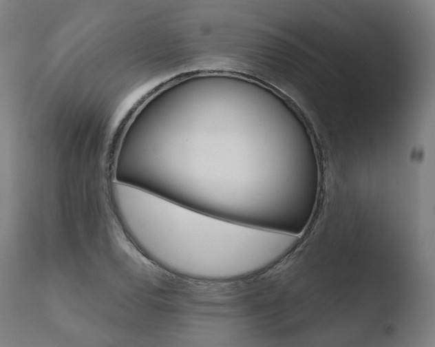 X0000110731120200906121304