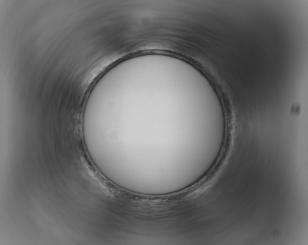 X0000110731121200906121304