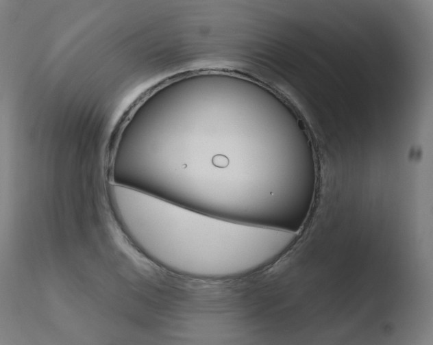 X0000110731124200906121304