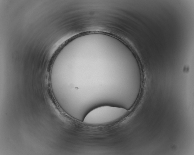 X0000110731125200906121304
