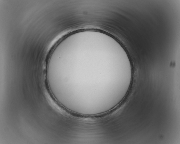 X0000110731126200906121304