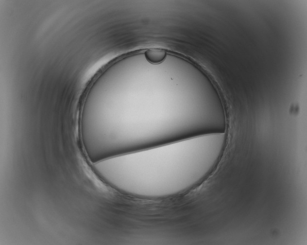X0000110731127200906121304