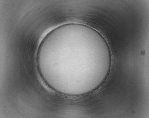 X0000110731128200906121304