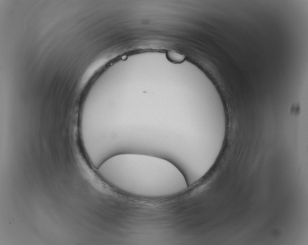 X0000110731130200906121304