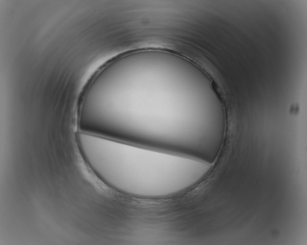 X0000110731132200906121304