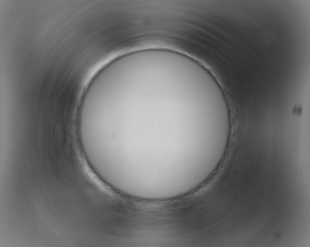 X0000110731134200906121304