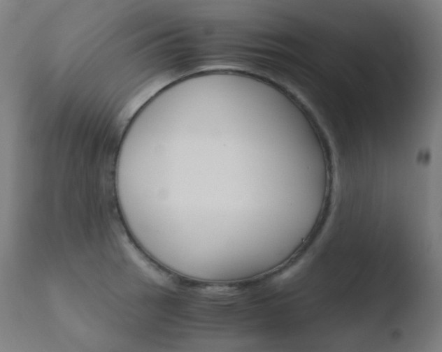X0000110731137200906121304