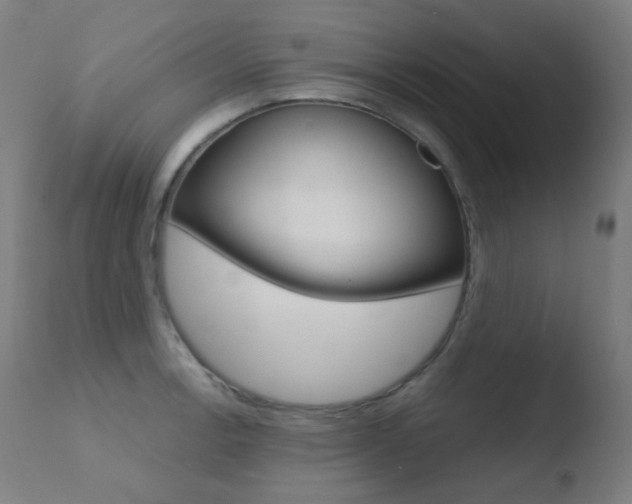X0000110731138200906121304