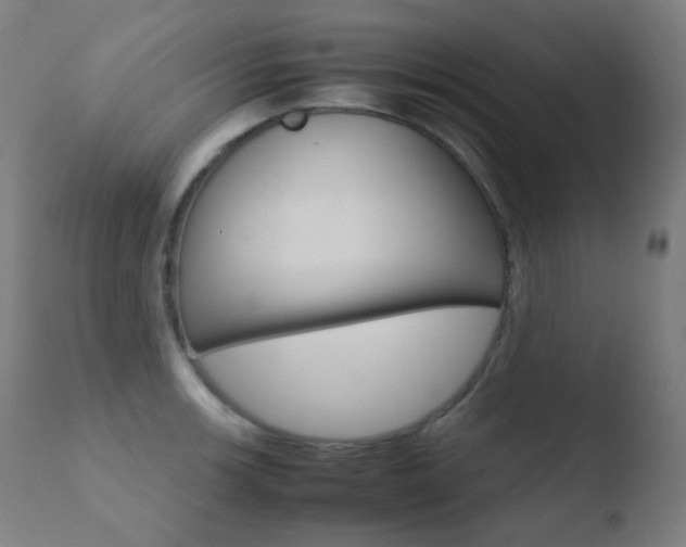 X0000110731139200906121304