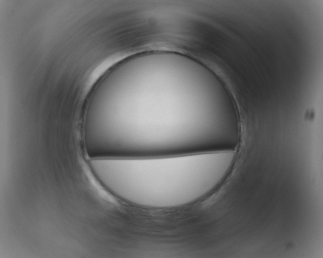 X0000110731141200906121304