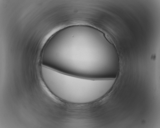 X0000110731142200906121304