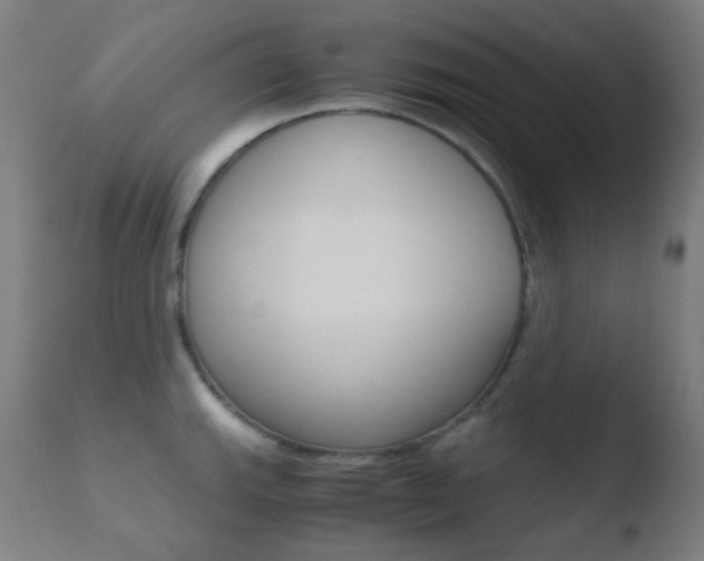 X0000110731143200906121304