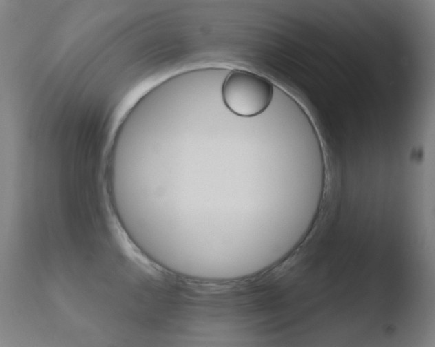 X0000110731144200906121305